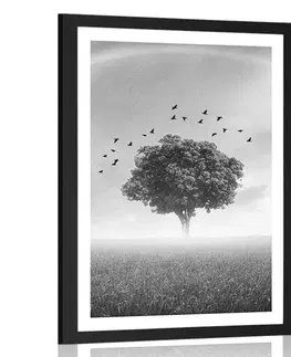 Černobílé Plakát s paspartou osamělý strom na louce v černobílém provedení