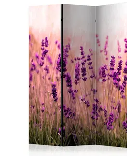 Paravány Paraván Lavender in the Rain Dekorhome 135x172 cm (3-dílný)