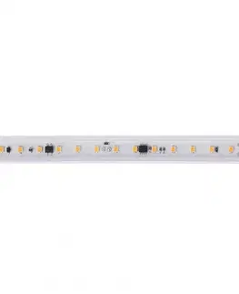 LED pásky 230V Light Impressions Deko-Light flexibilní LED pásek 2835-84-230V-2700K-50m-PVC Extrusion 220-240V AC/50-60Hz 14,00 W/m 2700 K 1442 lm/m 50000 mm 840391