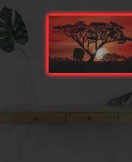 Obrazy Wallity Obraz s LED osvětlením AFRICKÁ KRÁSA 53 45 x 70 cm
