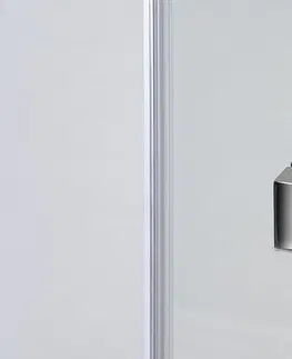 Sprchové kouty POLYSAN FORTIS LINE sprchové dveře 1000, čiré sklo, pravé FL1010R