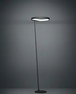 LED stojací lampy EGLO Stojací svítidlo CAREDARA 390167