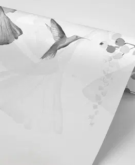 Černobílé tapety Tapeta listy s kolibříky v černobílém