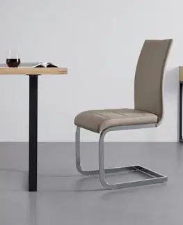 Houpaci jídelní židle Židle Z Koženky Tanja
