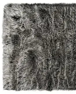 Koberce a koberečky Kontrast Koberec ALASKA 120x170 černý