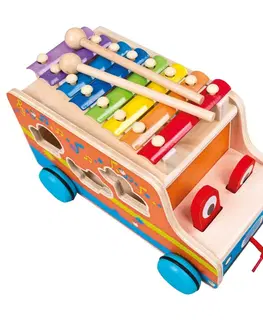 Hračky Bino Auto vkládačka s xylofonem