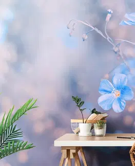 Samolepící tapety Samolepící fototapeta modré květiny na vintage pozadí