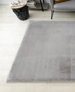 Koberce a koberečky Dywany Lusczow Kusový koberec BUNNY stříbrný, velikost 160x220