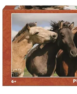 Hračky puzzle DINOTOYS - Barevné koně 300 XL Puzzle NOVÉ