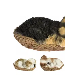 Sošky, figurky - zvířata PROHOME - Dekorace pes v košíku různé druhy