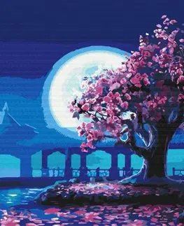 Příroda Malování podle čísel sakura v měsíčním svitu