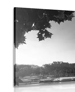 Černobílé obrazy Obraz podzimní Paříž v černobílém provedení