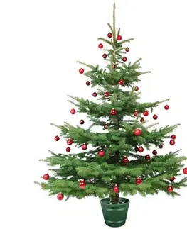 Vánoční dekorace Stojan na vánoční stromeček Planet 2 hnědá