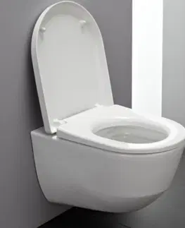WC sedátka GEBERIT DuofixBasic s bílým tlačítkem DELTA50 + WC LAUFEN PRO LCC RIMLESS + SEDÁTKO 458.103.00.1 50BI LP2