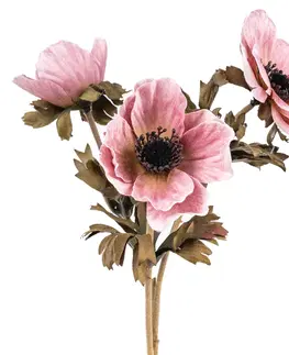 Květiny Umělá květina Anemónka starorůžová, 3 květy, 56 x 17 cm