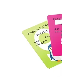 Hračky společenské hry LAUKO PROMOTION - Karty vědomostní 5-jazyčné