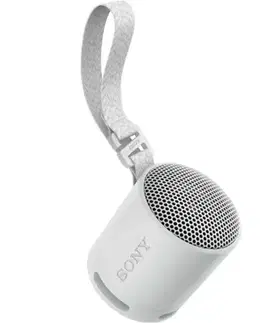 Elektronika Sony SRS-XB100 Přenosný bezdrátový reproduktor, šedá