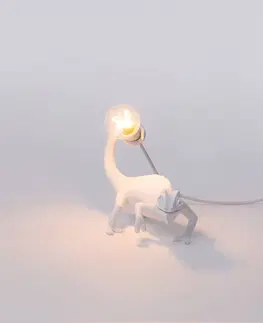 Vnitřní dekorativní svítidla SELETTI LED deko stolní lampa Chameleon Lamp Still, USB