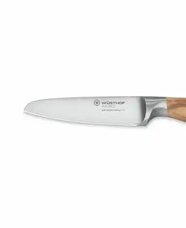 Kuchyňské nože WÜSTHOF Blok s noži Wüsthof Amici 5ks