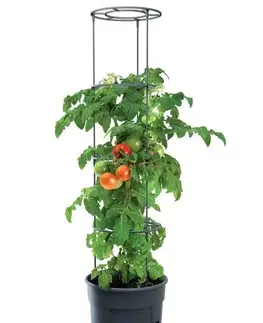 Květináče a truhlíky Květináč na pěstování rajčat 29,5 cm