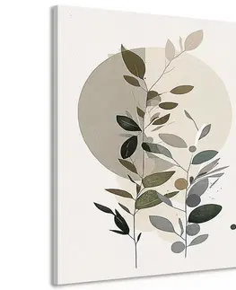 Obrazy stromy a listy Obraz minimalistické rostlinky v boho stylu