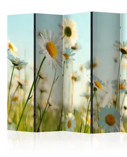 Paravány Paraván Daisies - spring meadow Dekorhome 225x172 cm (5-dílný)