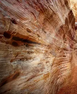Samolepící tapety Samolepící fototapeta cestička Grand Canyonom
