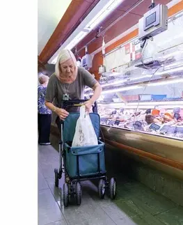 Nákupní tašky a košíky Carlett Senior Assist nákupní taška na kolečkách 38 l, světle šedá