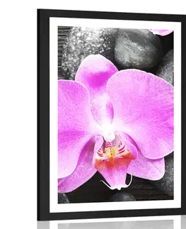 Feng Shui Plakát s paspartou nádherná orchidej a kameny