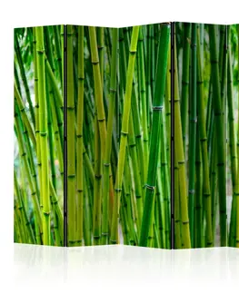 Paravány Paraván Bamboo Forest Dekorhome 135x172 cm (3-dílný)