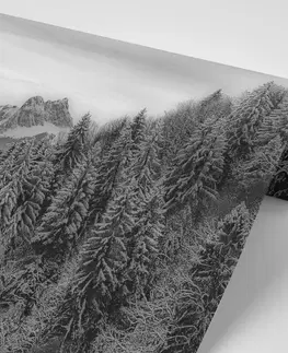 Samolepící tapety Samolepící fototapeta černobílé zmrzlé hory