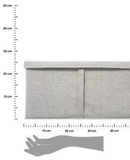 Úložné boxy DekorStyle Úložný box Orga 50x31 cm
