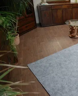 Koberce a koberečky Dywany Lusczow Kusový koberec SERENADE Hagy světle šedý, velikost 350x400