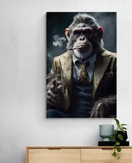 Obrazy zvířecí gangsteři Obraz zvířecí gangster šimpanz