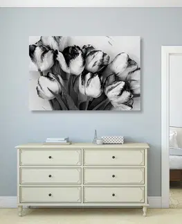 Černobílé obrazy Obraz jarní tulipány v černobílém provedení