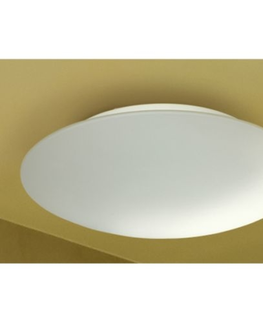 Klasická stropní svítidla Palnas Stropní svítidlo Twist 1105004-01