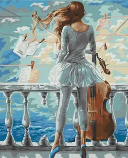 Lidé Malování podle čísel žena s violoncello