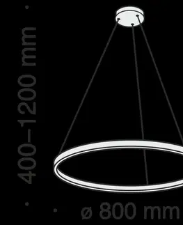 LED lustry a závěsná svítidla MAYTONI Závěsné svítidlo Rim MOD058PL-L42BS4K