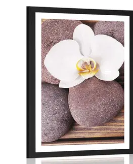 Feng Shui Plakát s paspartou wellness kameny a orchidej na dřevěném pozadí
