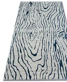 Koberce a koberečky Dywany Lusczow Kusový koberec MANYAS Egia šedo-modrý, velikost 240x350