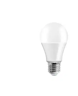 LED osvětlení  LED Žárovka A65 E27/15W/230V 3000K 