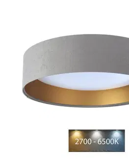 Svítidla  LED Stropní svítidlo SMART GALAXY LED/24W/230V Wi-Fi Tuya šedá/zlatá + DO 