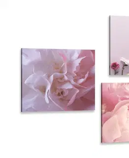Sestavy obrazů Set obrazů květiny v  jemném růžovém odstínu