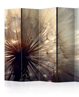 Paravány Paraván Dandelion Kiss Dekorhome 225x172 cm (5-dílný)