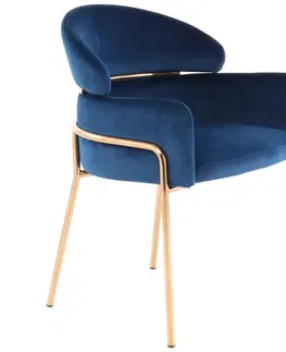 Jídelní křesla Židle s područkami Modrá/barva Růžového Zlata