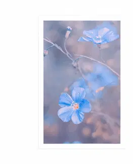 Květiny Plakát modré květiny na vintage pozadí