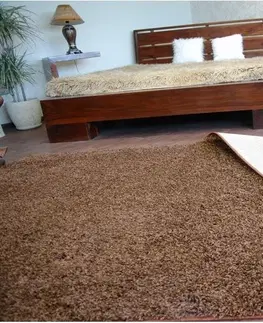 Koberce a koberečky Dywany Lusczow Kusový koberec SHAGGY Izebelie 5cm hnědý, velikost 250x300