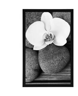 Černobílé Plakát wellness kameny a orchidej na dřevěném pozadí v černobílém provedení
