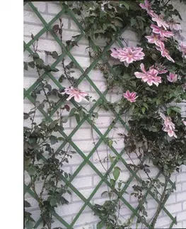 Květináče a truhlíky Zahradní treláže 2ks 100 x 200 cm PVC zelené Dekorhome