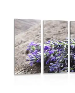 Obrazy květů 5-dílný obraz kytice z levandule
